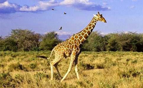 ͯԒ���£��L(zh��ng)�i¹��ɽ��