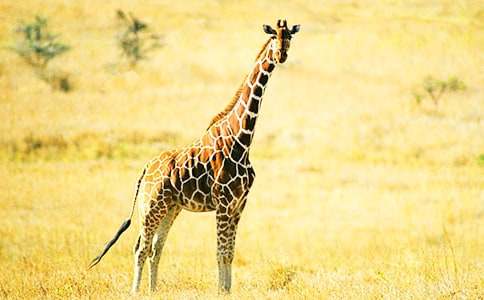 �L�i¹��С�B�̌W(xu��)�̰�