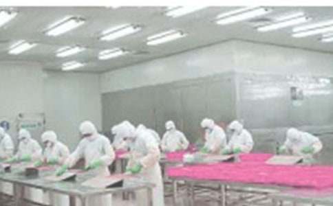 ܇�g������淶��2000������