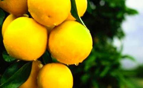 ��������600����ƪ