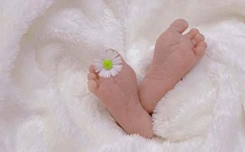 �����������ˑB(t��i)����800��