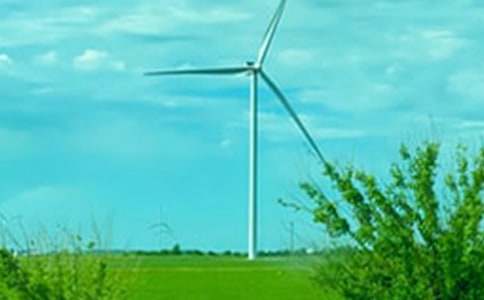 �P(gu��n)���茑���L(f��ng)������