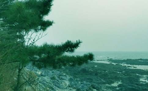 ���d�紺�L(f��ng)�������ƺ���800�����ģ�ͨ��43ƪ��