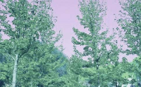 С�W(xu��)���꼉�茑���L(f��ng)����200��