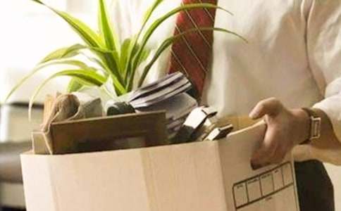 ѩ����o����650��