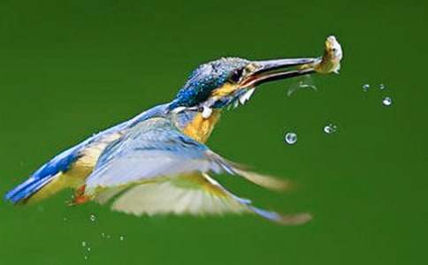 ���B(ni��o)���ģ����x17ƪ��