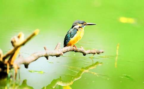 ���B(ni��o)����400�֣�ͨ��21ƪ��