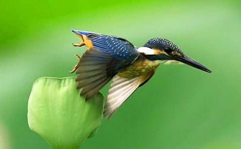 ���B����400�֣�ͨ��22ƪ��