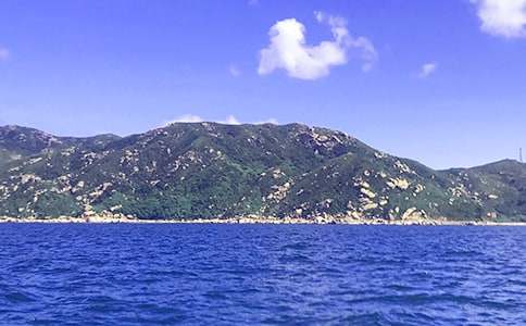 �H����������1000��