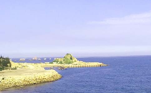 �P(gu��n)�ڴ��������ĺϼ�5ƪ