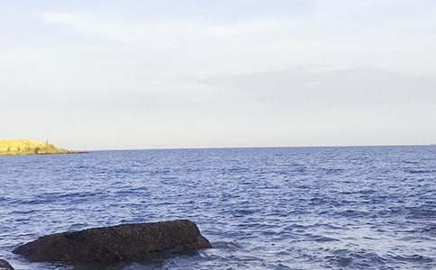 �����x��������������ƪ