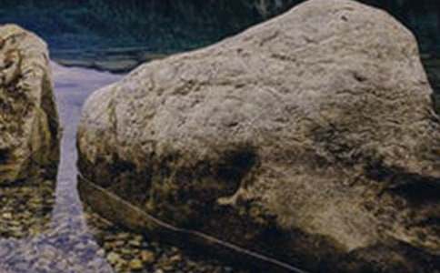 溪流和大石頭300字作文