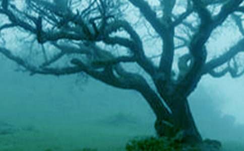 ���������������