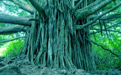 ��������������ľ��x