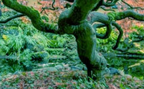 �����������ĸ߷�����