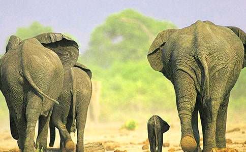 Λρ�ʹ����ͯԒ���ģ�ͨ��23ƪ��