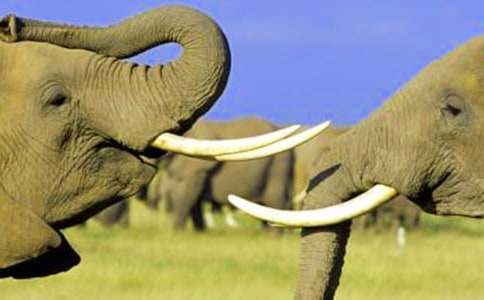 �����С�õĿ��D���ģ����x44ƪ��