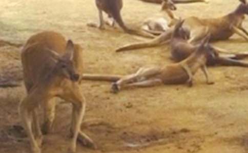 ��������400�֣�ͨ��29ƪ��