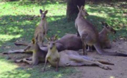 �P(gu��n)�ڴ��������Α�����4ƪ