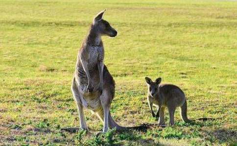 ��������600�ְ�ƪ