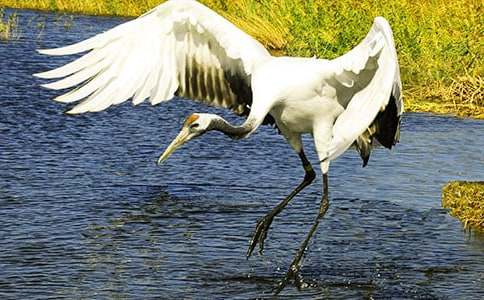 ����Q����600�֣����x14ƪ��