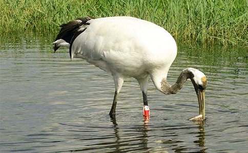 ����Q����600�֣�ͨ��33ƪ��