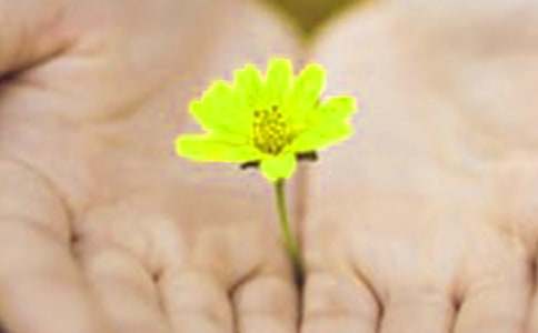 ����Ʒ����Ǹ����300����ƪ