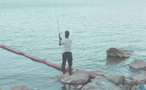 �Ͱְ�һ����~����800��