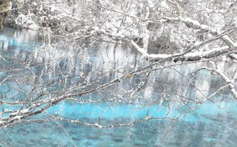 ���}�鶬��.������ľ��x