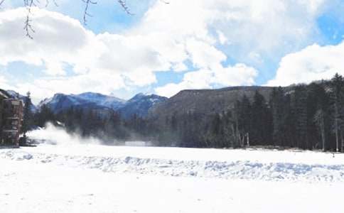 �����г�������