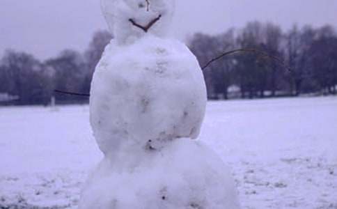 �茑�����ѩ����~�Z