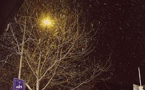 �����A��������L��������ƪ