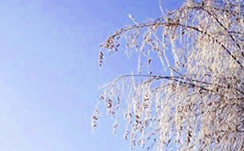 ��ϲ�g��������100�֣�ͨ��35ƪ��