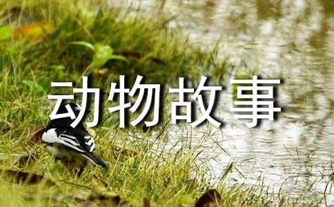 ������£�СΛρ���ǻ�