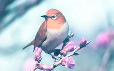 ��(d��ng)ֲ����ϧ����������