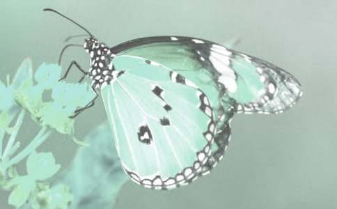 �^���ֲ������500��