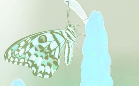 �^���ֲ��Ć�ʾ����