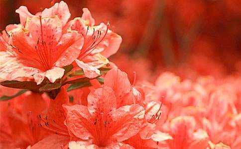 ���N����������(j��ng)�v����������