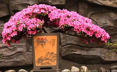 ���N���_����3ƪ