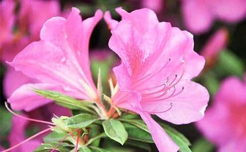 ΢Ц�Ķ��N������