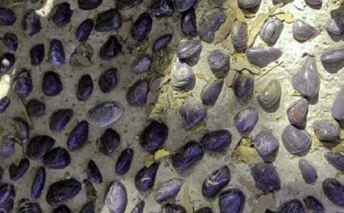 �Z��ʯС���ϵ�ͯ������