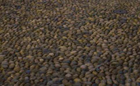 �ഺ�������Z��ʯ����