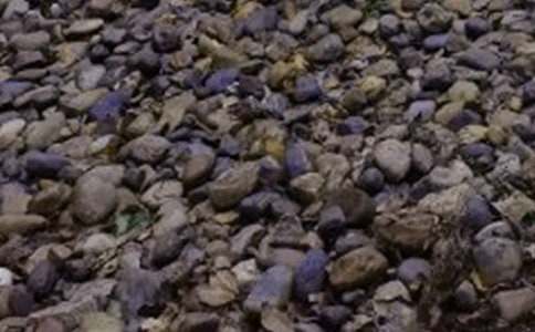 С�rʯ���Z��ʯ��Ԣ�Թ���