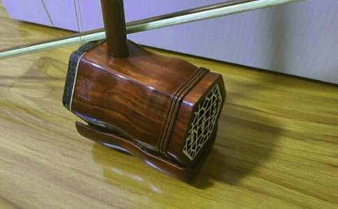 二胡小能手作文700字