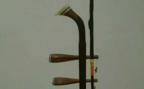 二胡悠揚(yáng)初三作文