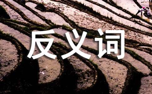 �~�Zһ�����ݷ��x�~