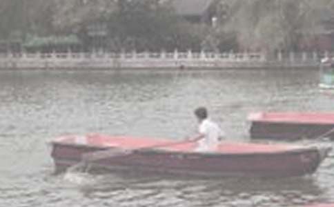 �ƺ����۵�����