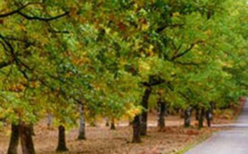 �����ϵ��ǵ��L(f��ng)������