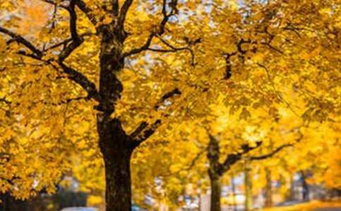 ��ϲ�g�@�L(f��ng)�����ģ����x26ƪ��