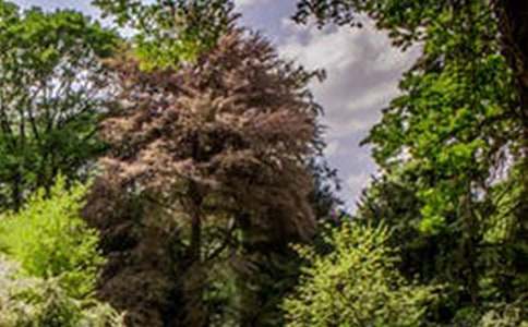 ����ȥ���������L(f��ng)�����ķ��ģ�ͨ��10ƪ��